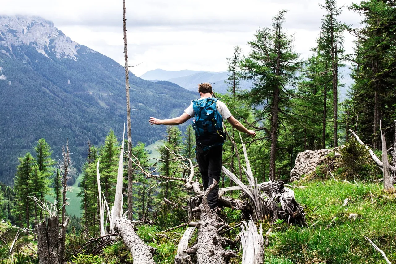 A hiker crossing fallen trees above a forested mountain valley.